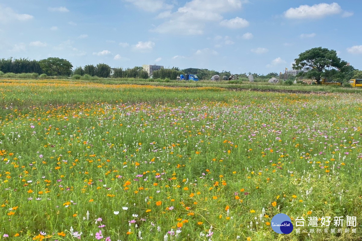園慶雙十玩創意，巨型「國旗花布」溪海休區限定登場。