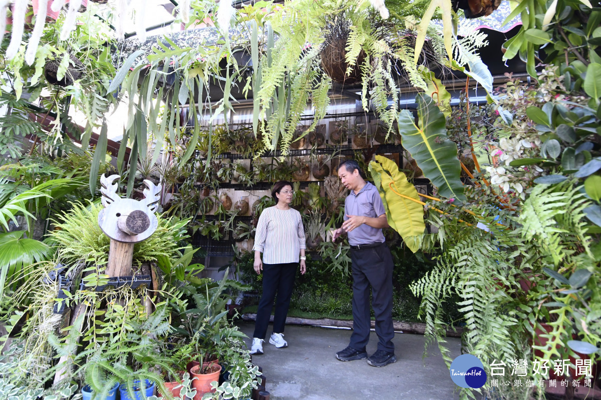 設計力綻放花鄉！王惠美關心「田尾行」展區籌備，打造生活美學新地標。圖／記者鄧富珍翻攝