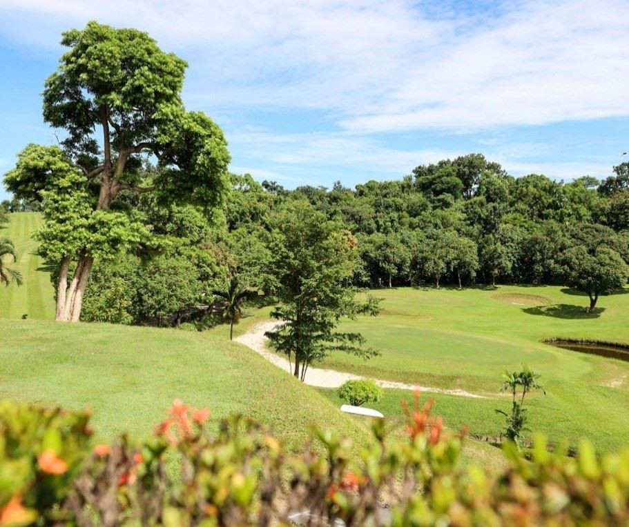 （圖／高雄市府工務局公園處）