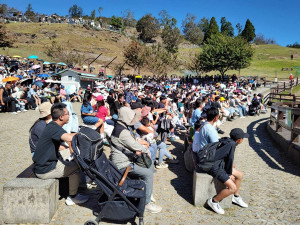連假人潮湧入「雲端草原」，欣賞綿羊悠遊、遠眺山巒景緻。（清境農場提供）