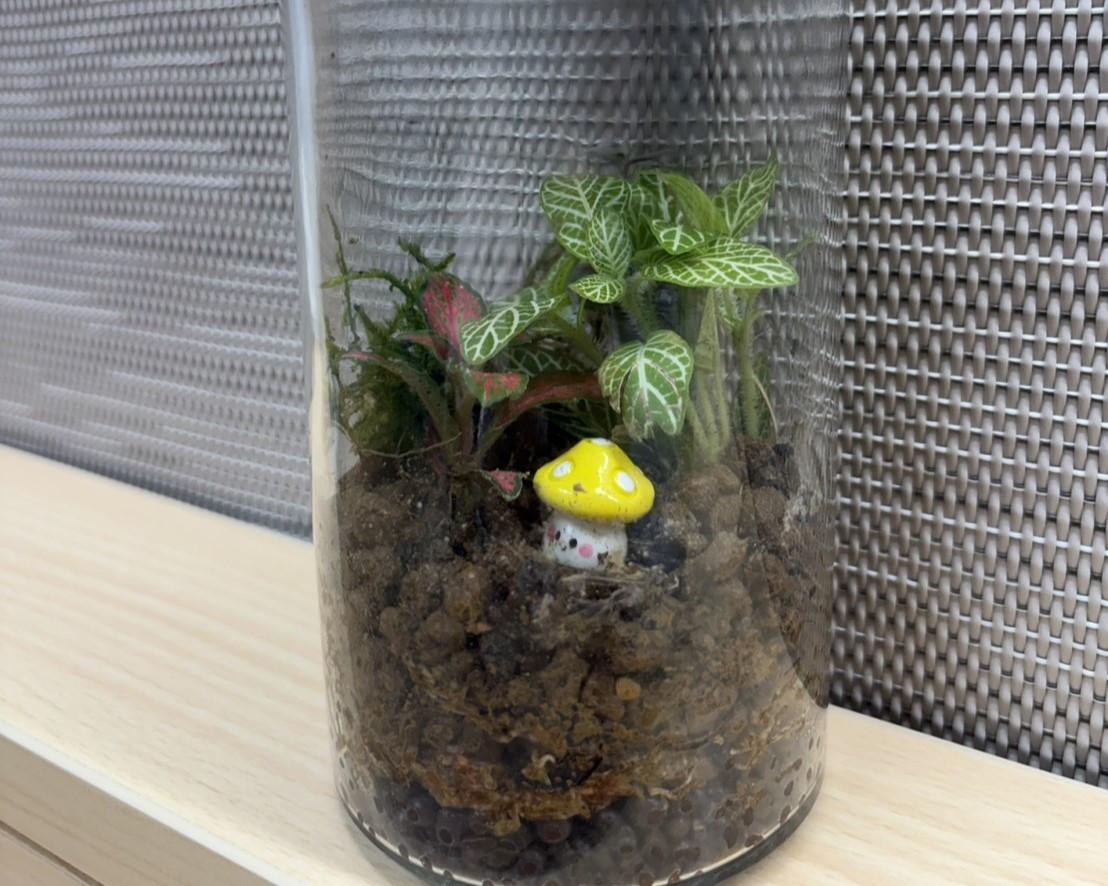 透明玻璃瓶內的微型生態系細膩呈現，綠意與色彩彷彿將護理師的療癒心意封存其中