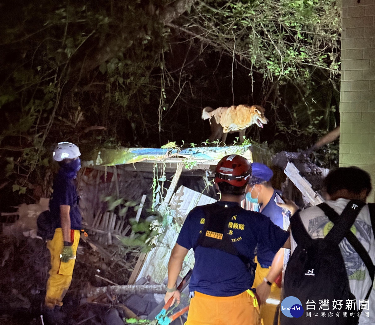 黃漢群與特搜隊員從一處半掩的屋頂上救下一隻受困的狗／嘉基醫院提供