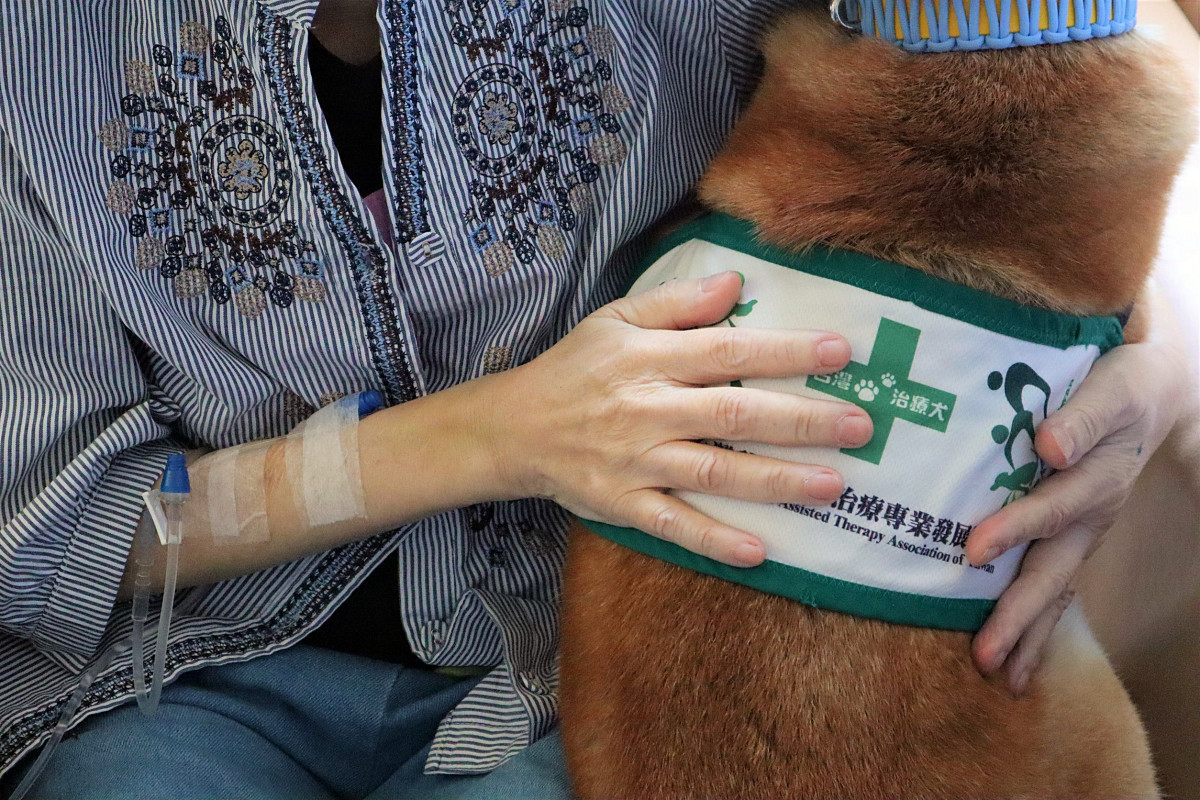 以愛為名的陪伴　    部桃安寧病房以動物與藝術療癒生命