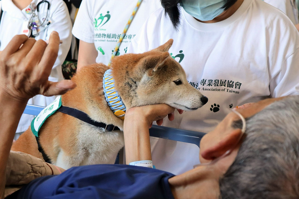 以愛為名的陪伴　    部桃安寧病房以動物與藝術療癒生命