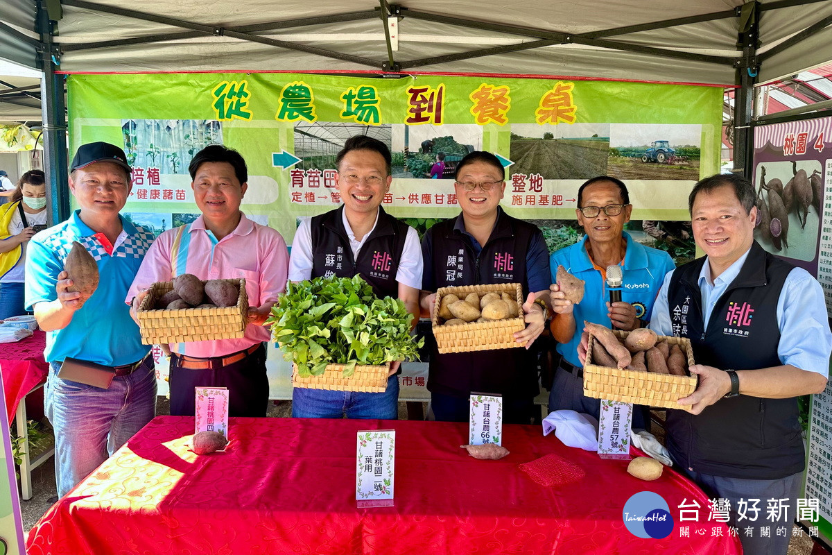 桃園市副市長蘇俊賓出席「大園甘藷節」活動，力推桃園優質甘藷 。