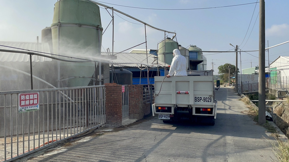 台中市爆發首例非洲豬瘟（ASF）疑似案例，嘉義縣府立即啟動全面防疫措施／嘉義縣府提供