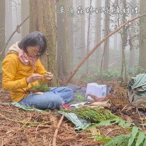 取材自永泰林場現地的柳杉枝條、毬果等森林素材 (新竹分署提供)