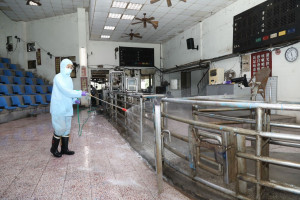 禁廚餘養豬竹縣環保局如臨大敵。