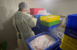 桃園市政府啟動跨局處應變，全力追查疑慮肉品流向 。