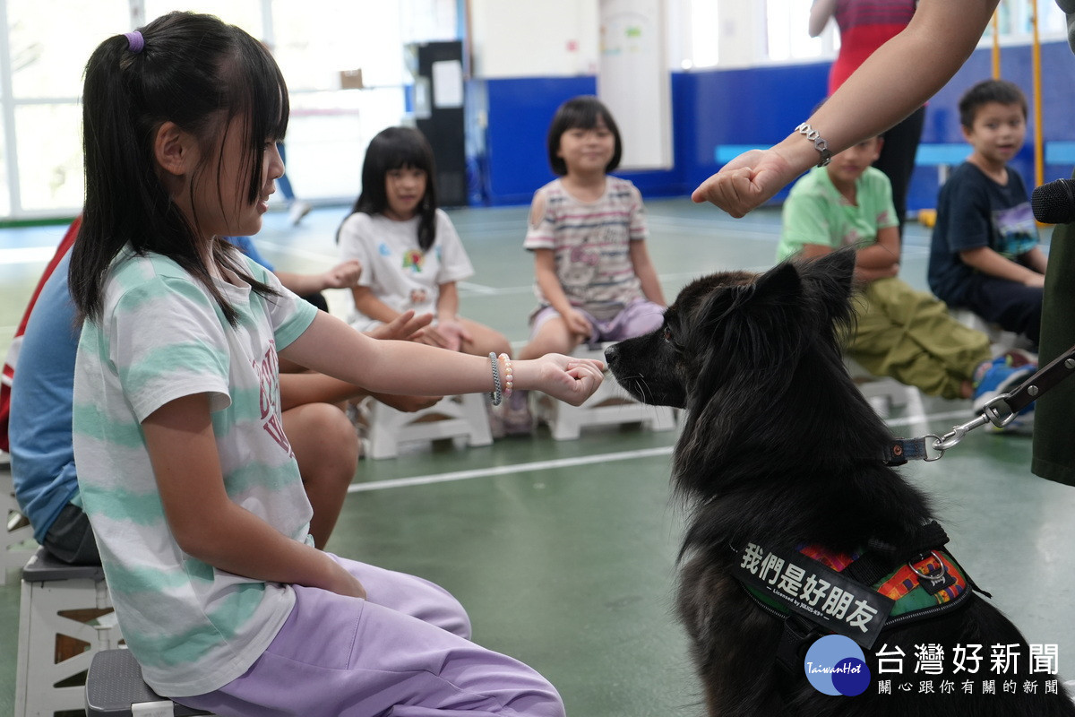 學生在「狗老師進教室」課程中,與心輔犬互動體驗,學習尊重生命、理解情緒與建立信任關係。<br />