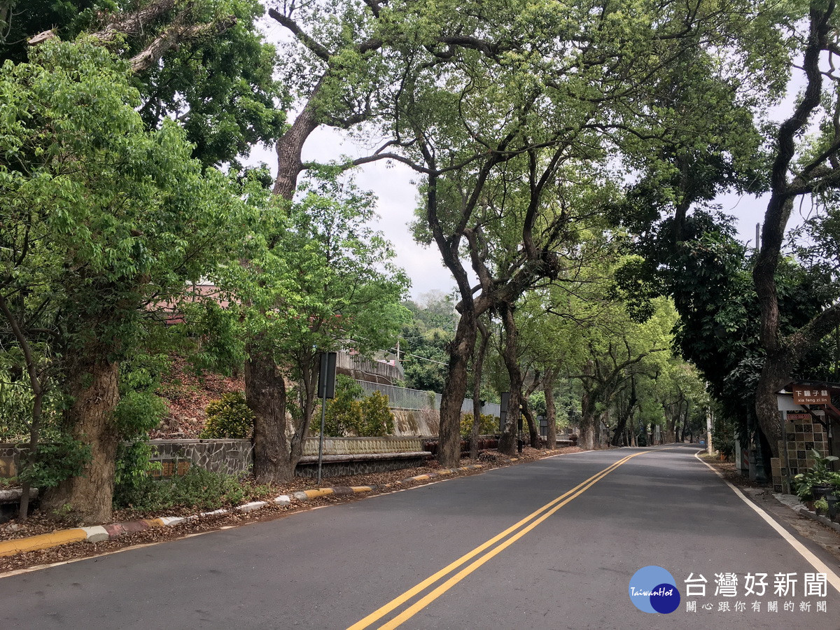 游顥建議結合集集至日月潭發展山線觀光軸帶。(記者扶小萍攝)