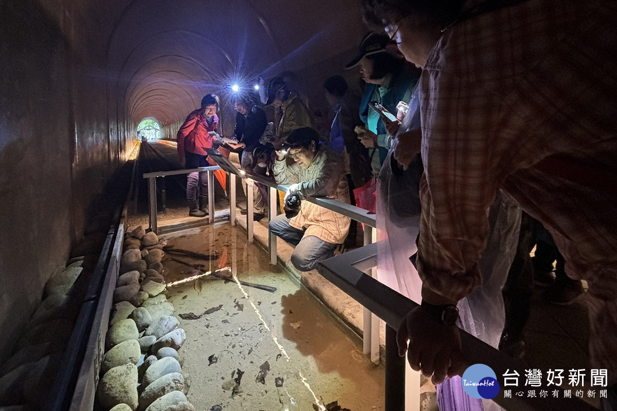 桃園市大溪區「舊百吉隧道」風華重現，結合生態保育開創北橫新旅線。