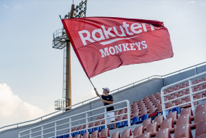 中華職棒樂天桃猿隊應援大旗。（圖／資料照片，圖源：桃園市政府新聞處新聞聯繫科）