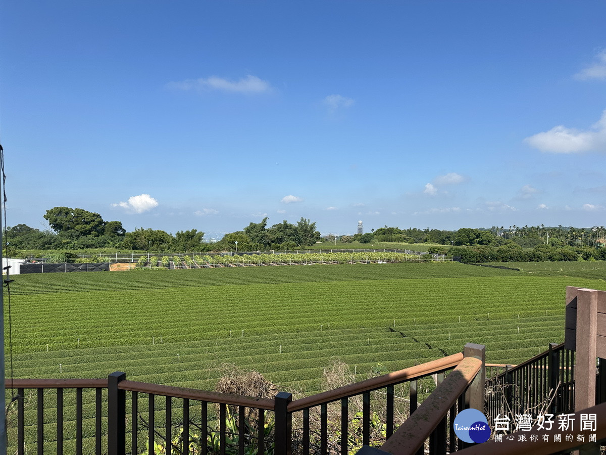 歡迎大眾參與喝茶聽茶識茶。（記者扶小萍攝）