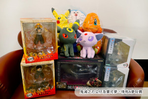 行政執行署嘉義分署將於11月11日「雙十一」當天拍賣玩偶及公仔，協助曾男抵繳交通罰鍰／陳致愷翻攝