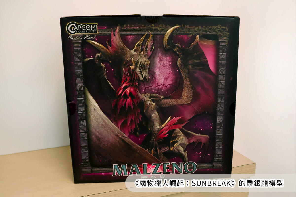 行政執行署嘉義分署將於11月11日「雙十一」當天拍賣玩偶及公仔,協助曾男抵繳交通罰鍰/陳致愷翻攝