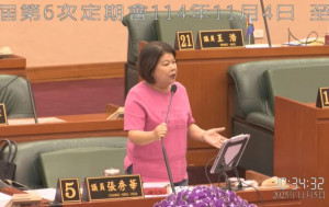 嘉義市議員張秀華提出市民加碼普發現金3千元臨時動議案／陳致愷翻攝