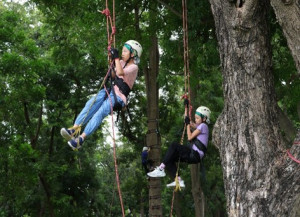 嘉有好市集親子攀樹體驗11月17日開放報名／嘉義縣府提供