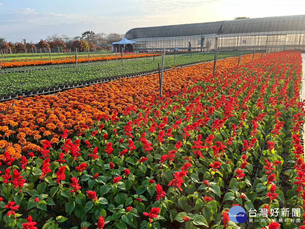 廚餘變有機土綠美化草花等贈鎮民。(竹山鎮公所提供)