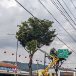 台電台中區處指示巡修單位同仁務必做好各項颱風前之設備巡視點檢。