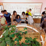 雲林縣「湖山水庫人文遺址館」將於12月29日揭幕，縣府特別舉辦「佇山頂徛家」常設展導覽活動，作為開館前的壓力測試／翻攝照片