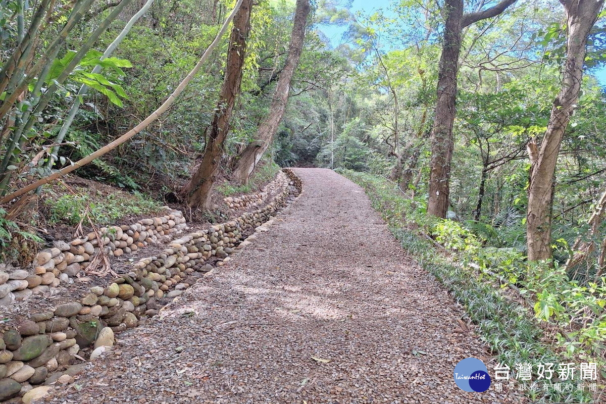 登山客新路線出爐，桃園大棟山「大湖之森」步道完工啟用倒數中。<br />
