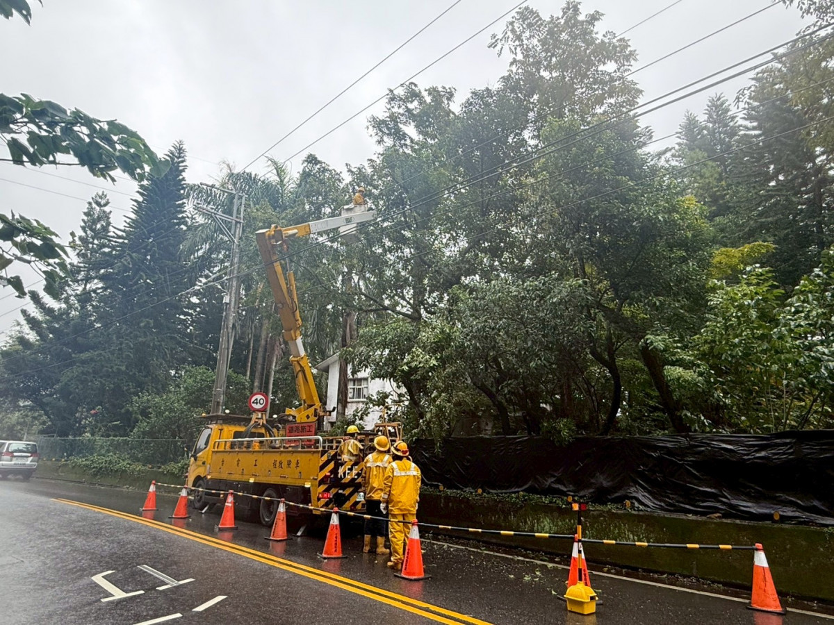 台電桃園區處戒備防颱，不畏強風冒雨加強樹竹修剪，減少樹木碰觸電線引發之事故