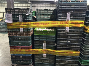 文雅畜牧場出品的雞蛋遭驗出禁用於經濟動物的農藥芬普尼，場內其他未出貨的雞蛋已被衛福部食藥署指示彰化縣府衛生局，禁止該場蛋品及雞隻移出場外。 （圖／彰化縣府動物防疫所）