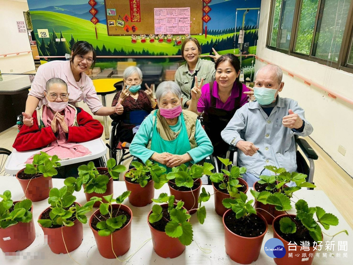 長輩們開心接力栽種草莓,期待未來再次共享甜美的豐收時光