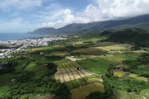 二期稻作收割期將至　臺東縣環保局呼籲勿露天燃燒稻草