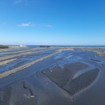 極端氣候挑戰加劇　臺東縣府持續加速卑南溪水覆蓋修復