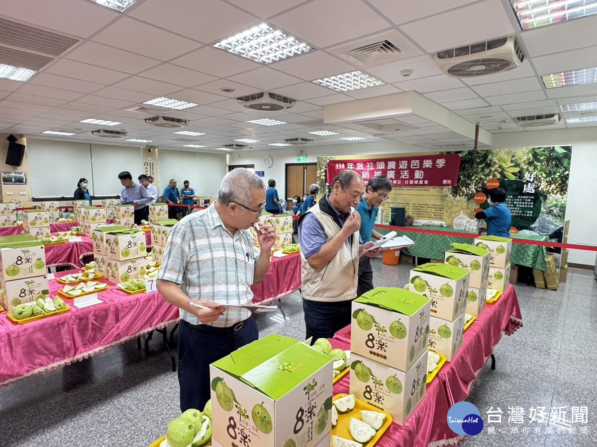 中部優質番石榴評鑑競賽  農友切磋交流提升番石榴品質及知名度