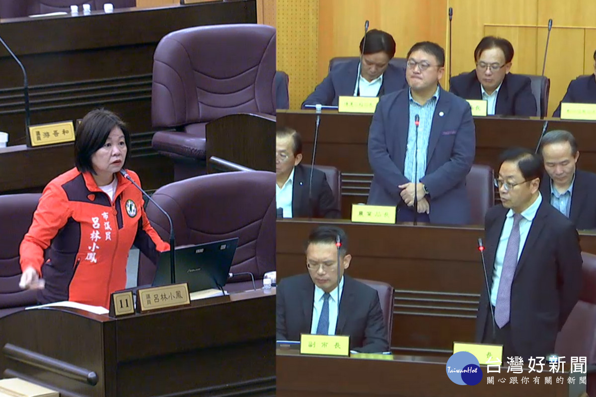 針對非洲豬瘟疫情，桃園市議員呂林小鳳質詢桃園市長張善政。<br />
