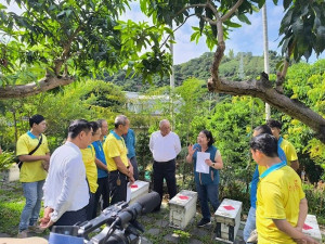 太平養蜂產銷班引進高產蜜耐病蜂種。林重鎣