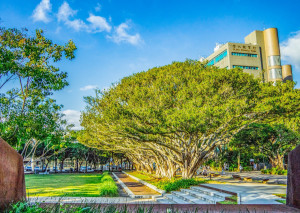 中原大學在2026 QS世界大學永續排名大幅躍升，榮登非醫科全國私立綜合大學第一名。