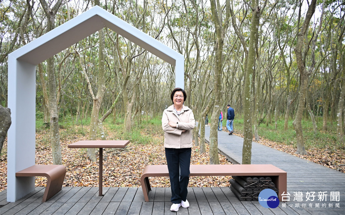 溪州公園森林木棧道煥新登場,新增多項特色設施打造夢幻森林步道。圖/記者鄧富珍翻攝
