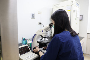 技術人員實驗室操作顯微鏡，完成生育力保存所需的品質評估作業。