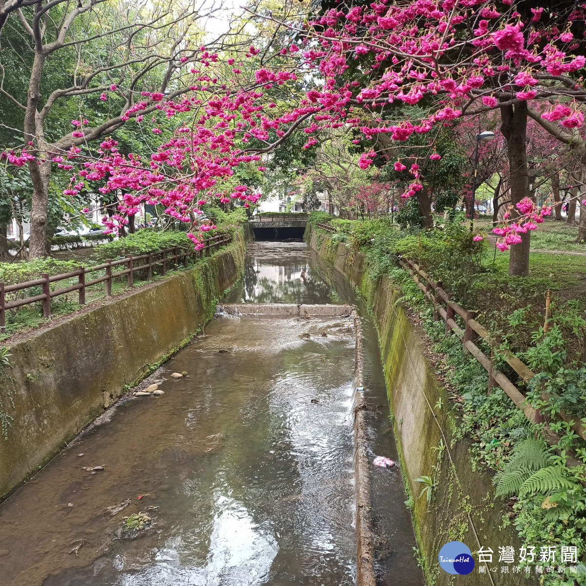 無取水需求之攔河堰配合渠底調整拆除，增加通洪能力。<br />
<br />
