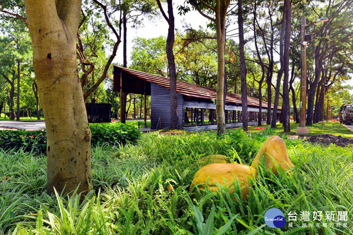 桃園環保局建置氣候「調適圖台」，以即時環境數據強化高溫防護。