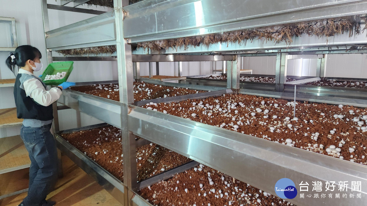 農糧產業聘僱外籍移工再放寬　      新增草皮、芽菜產業