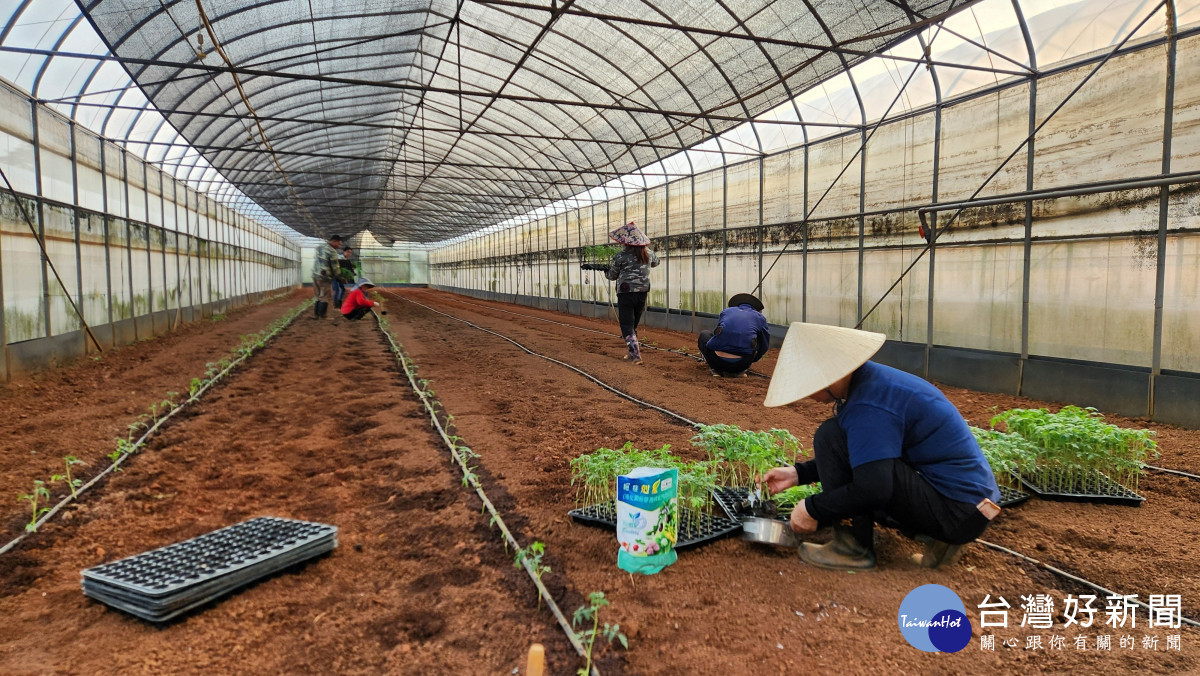 農糧產業聘僱外籍移工再放寬　      新增草皮、芽菜產業