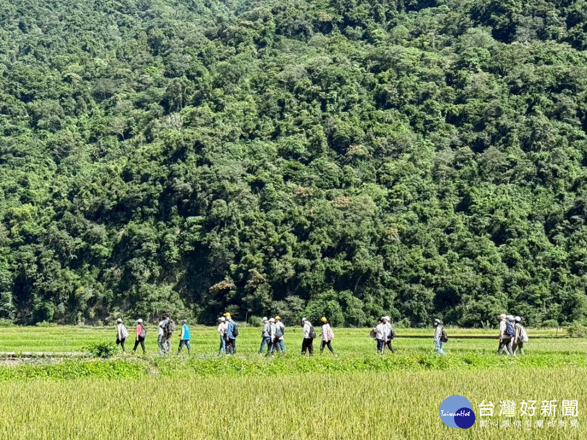 公私協力走入南安有機田區,沉浸式體驗在地布農族文化。（玉管處提供）