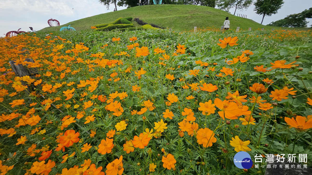 后里環保公園大面積綠地空間,配合花卉營造舒適空間。