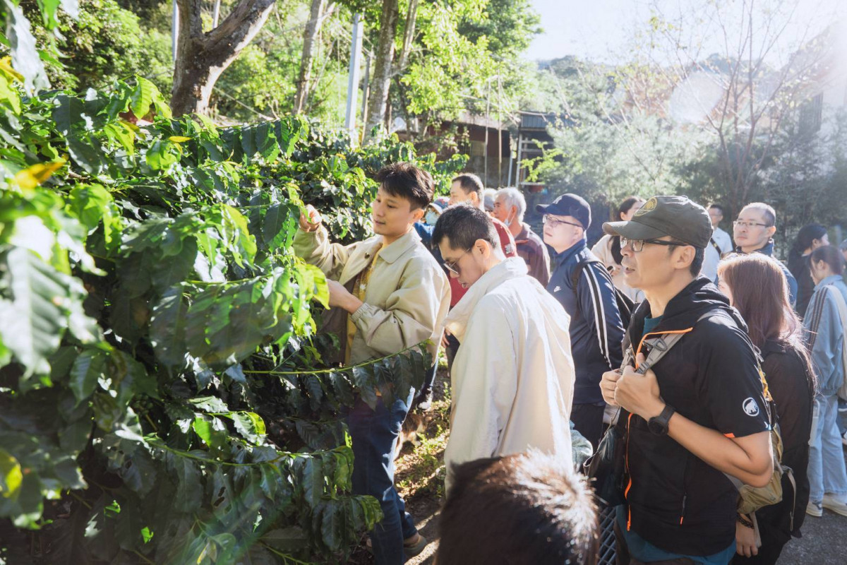 第三屆桃園復興好咖節11月29、30日將於角板山天幕廣場熱鬧登場。