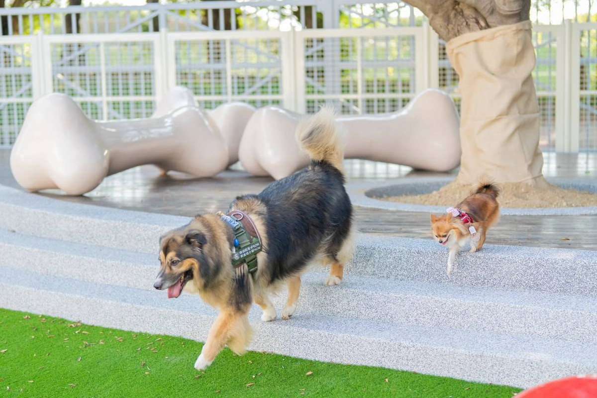 桃園市政府與中華職棒樂天桃猿攜手合作，打造全台第一座國際棒球場「寵物友善專區」。