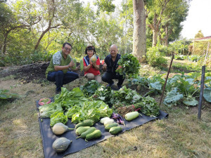 多樣蔬果採收捐贈席轄區食物銀行