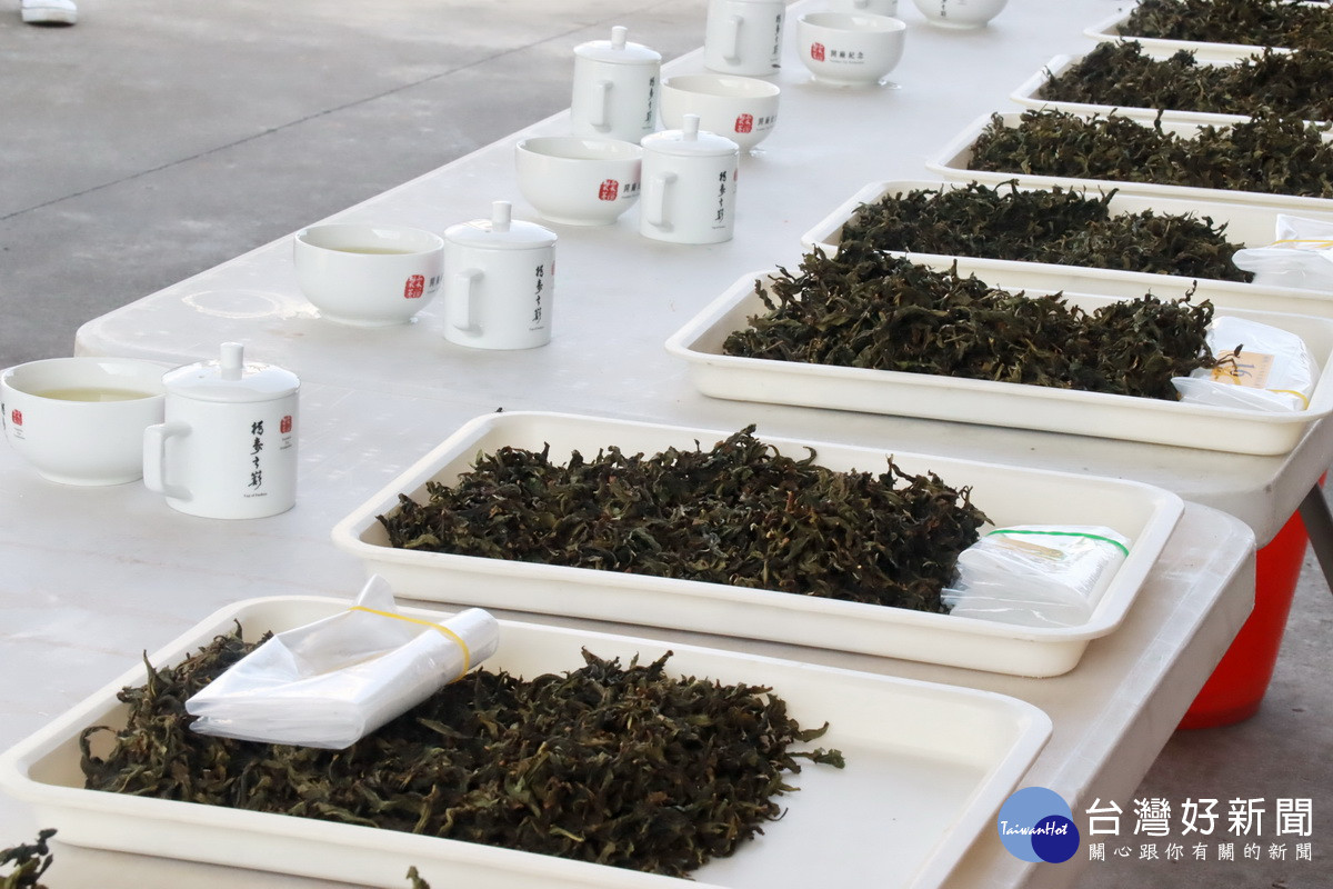 初步評選優質的茶已出列。（ 記者扶小萍攝）