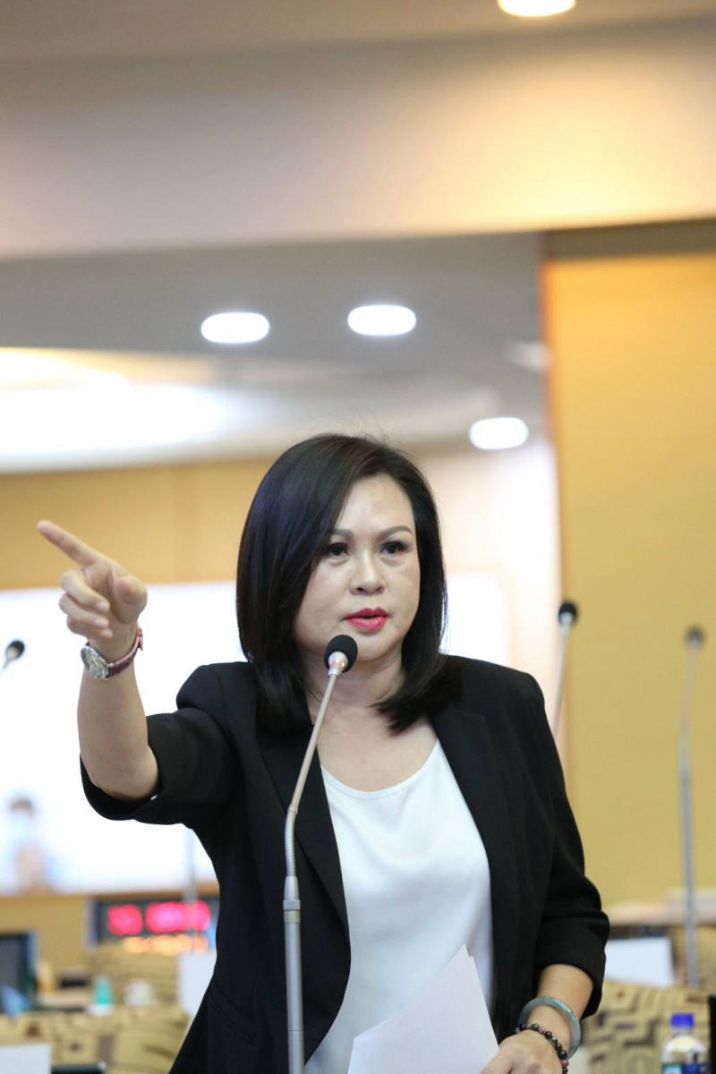 黨內議員相挺　林燕祝連任南市議會國民黨團書記長