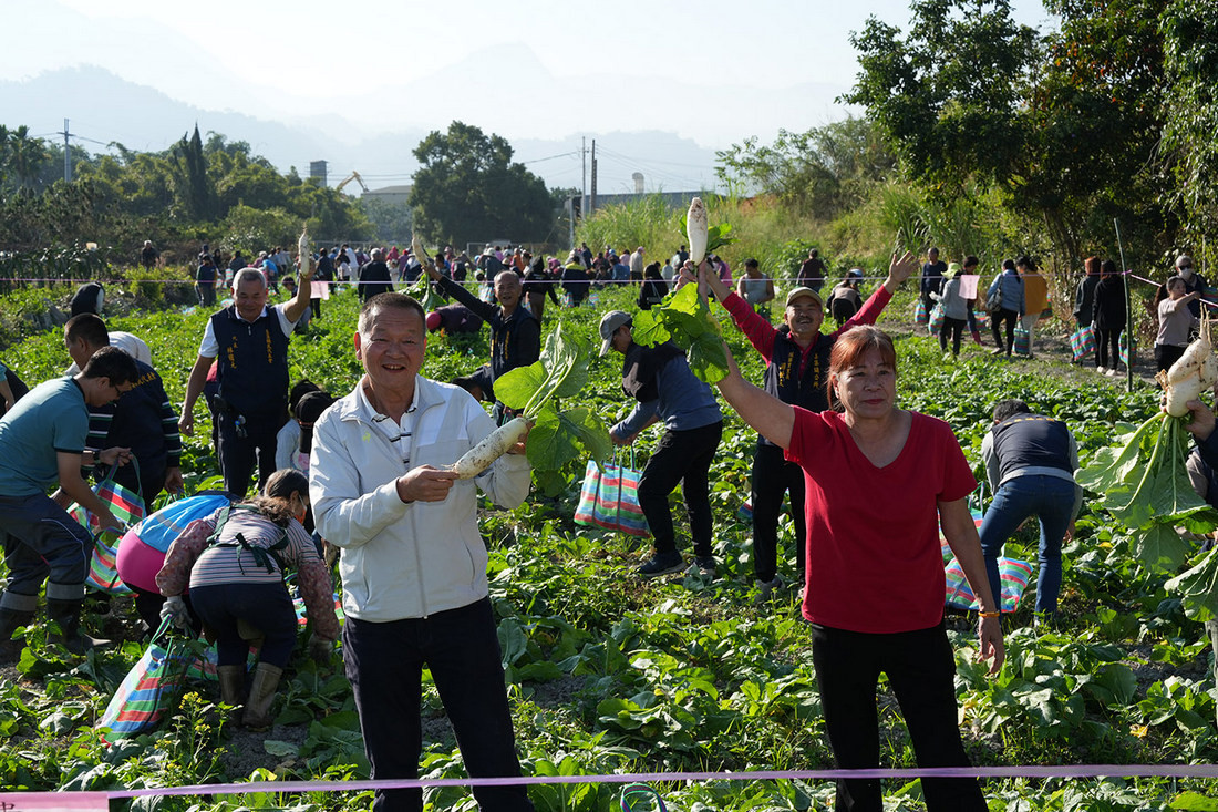 集集鎮食農教育-拔蘿蔔體驗暨水資源宣導活動。(集集鎮公所提供)