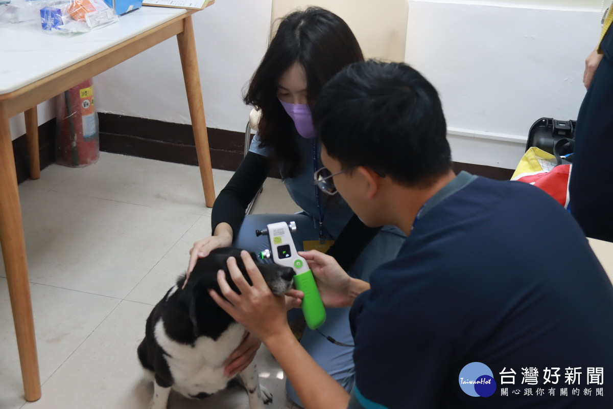 創生基地有犬貓健診服務。(記者扶小萍攝)